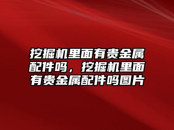 挖掘機里面有貴金屬配件嗎，挖掘機里面有貴金屬配件嗎圖片