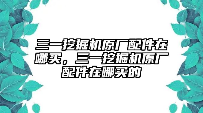 三一挖掘機(jī)原廠配件在哪買(mǎi)，三一挖掘機(jī)原廠配件在哪買(mǎi)的