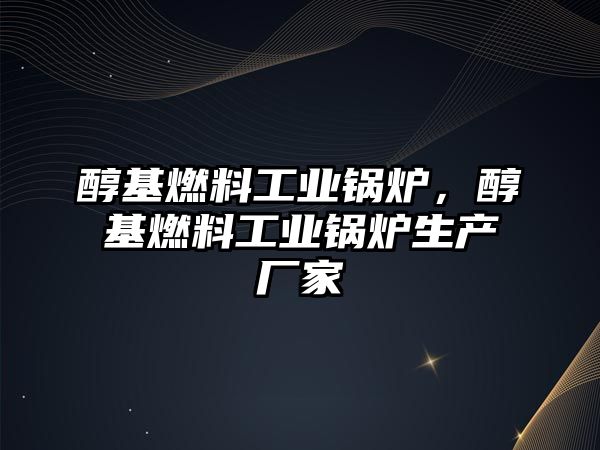 醇基燃料工業(yè)鍋爐，醇基燃料工業(yè)鍋爐生產(chǎn)廠家