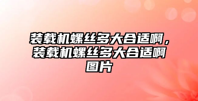 裝載機螺絲多大合適啊，裝載機螺絲多大合適啊圖片