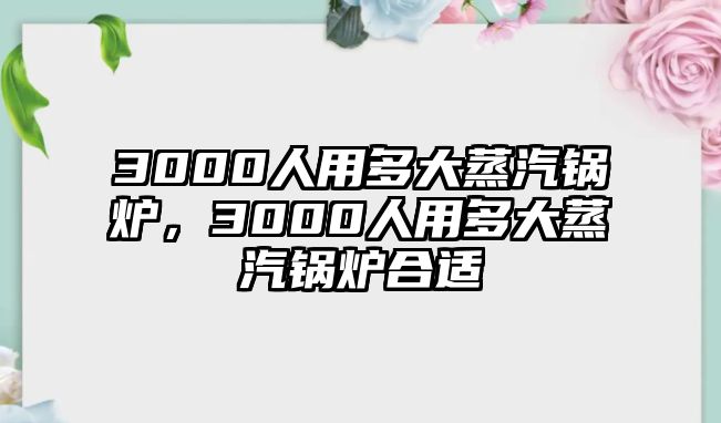 3000人用多大蒸汽鍋爐，3000人用多大蒸汽鍋爐合適