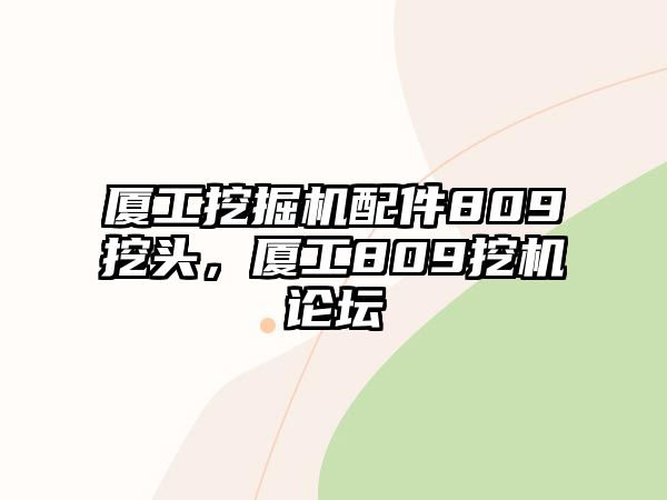 廈工挖掘機配件809挖頭，廈工809挖機論壇