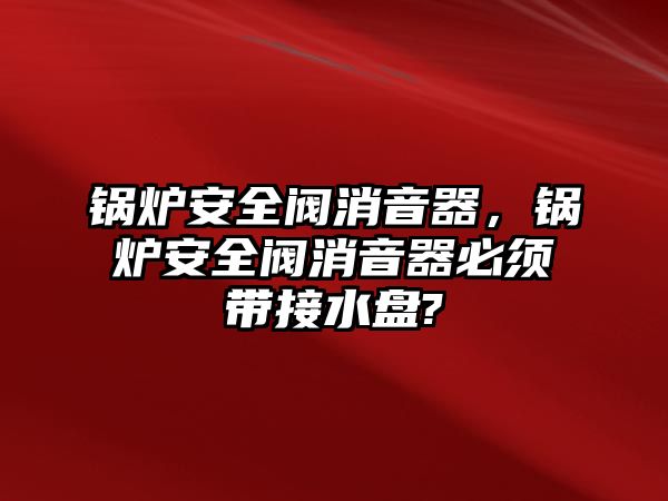 鍋爐安全閥消音器，鍋爐安全閥消音器必須帶接水盤?