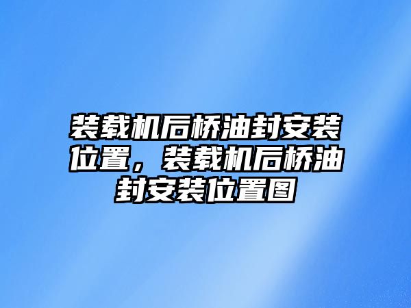 裝載機后橋油封安裝位置，裝載機后橋油封安裝位置圖