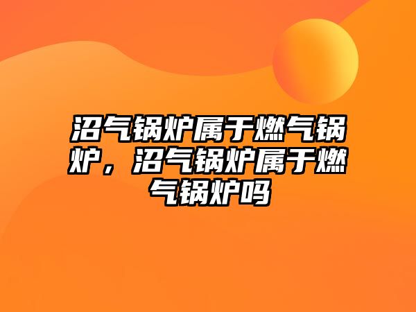 沼氣鍋爐屬于燃氣鍋爐，沼氣鍋爐屬于燃氣鍋爐嗎