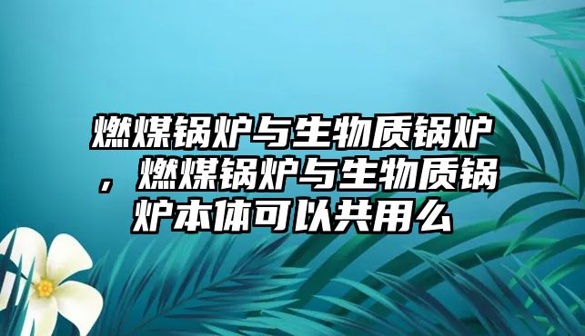 燃煤鍋爐與生物質(zhì)鍋爐，燃煤鍋爐與生物質(zhì)鍋爐本體可以共用么