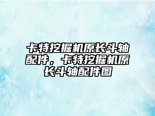 卡特挖掘機(jī)原長斗軸配件，卡特挖掘機(jī)原長斗軸配件圖