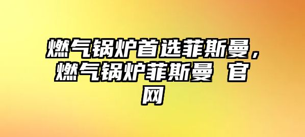 燃氣鍋爐首選菲斯曼，燃氣鍋爐菲斯曼 官網