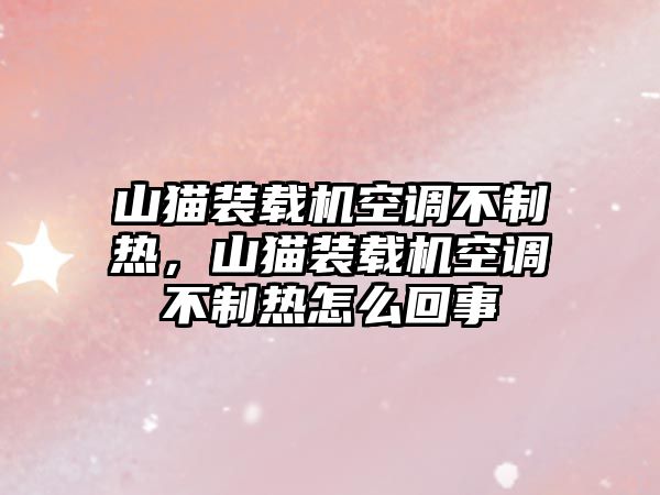 山貓裝載機(jī)空調(diào)不制熱，山貓裝載機(jī)空調(diào)不制熱怎么回事