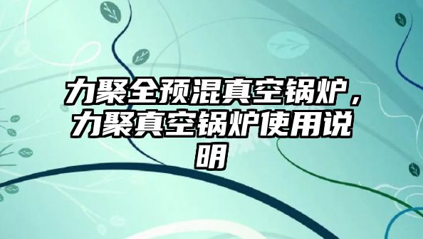 力聚全預混真空鍋爐，力聚真空鍋爐使用說明