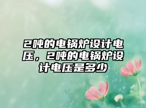 2噸的電鍋爐設(shè)計(jì)電壓，2噸的電鍋爐設(shè)計(jì)電壓是多少