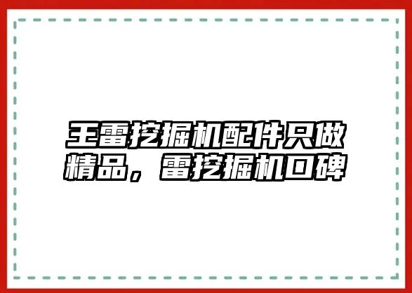 王雷挖掘機配件只做精品，雷挖掘機口碑