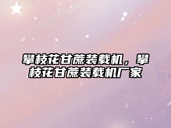 攀枝花甘蔗裝載機，攀枝花甘蔗裝載機廠家