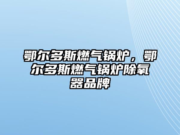 鄂爾多斯燃?xì)忮仩t，鄂爾多斯燃?xì)忮仩t除氧器品牌