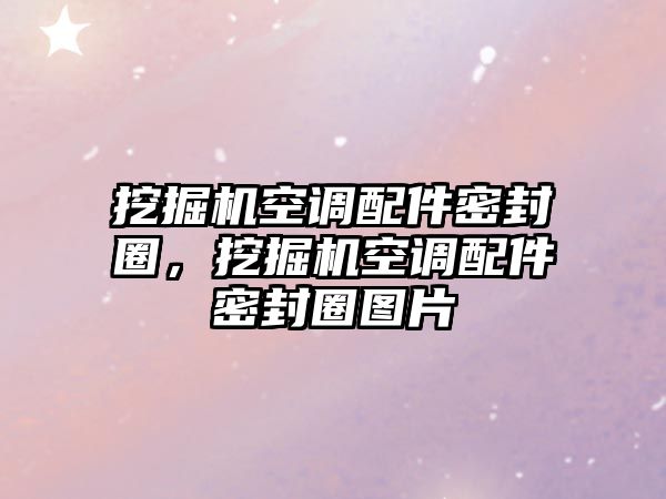 挖掘機(jī)空調(diào)配件密封圈，挖掘機(jī)空調(diào)配件密封圈圖片