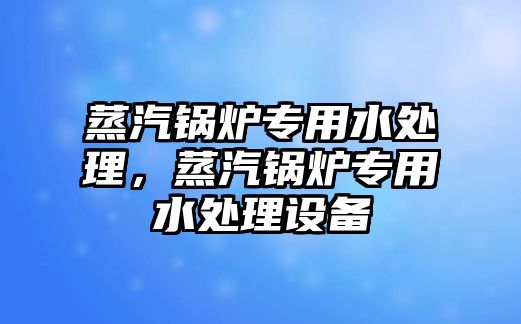 蒸汽鍋爐專用水處理，蒸汽鍋爐專用水處理設(shè)備