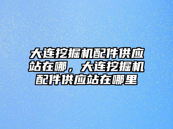 大連挖掘機配件供應站在哪，大連挖掘機配件供應站在哪里