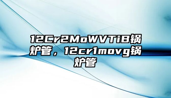 12Cr2MoWVTiB鍋爐管，12cr1movg鍋爐管