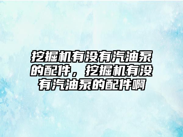 挖掘機(jī)有沒有汽油泵的配件，挖掘機(jī)有沒有汽油泵的配件啊