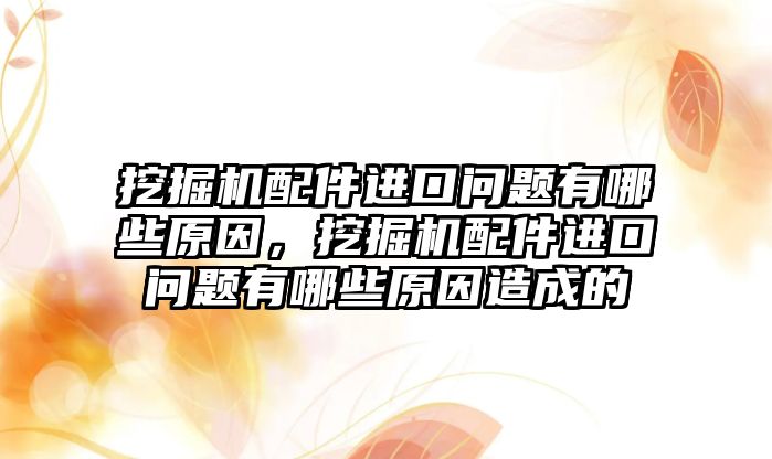 挖掘機配件進口問題有哪些原因，挖掘機配件進口問題有哪些原因造成的