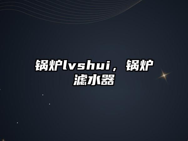 鍋爐lvshui，鍋爐濾水器