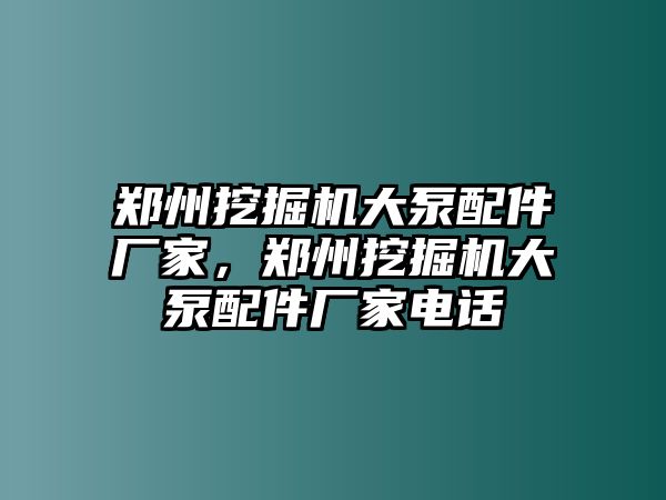 鄭州挖掘機(jī)大泵配件廠家，鄭州挖掘機(jī)大泵配件廠家電話