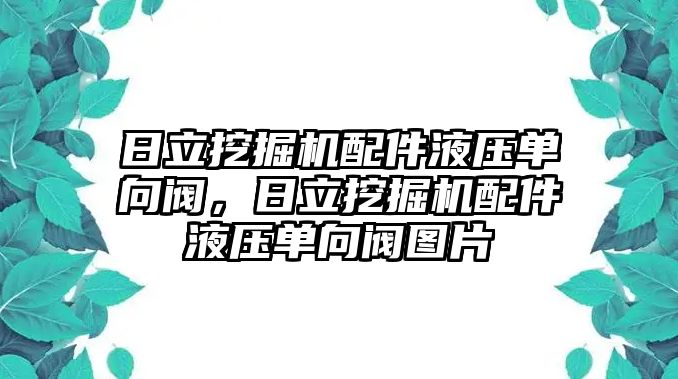 日立挖掘機配件液壓單向閥，日立挖掘機配件液壓單向閥圖片