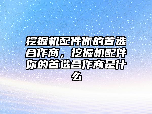 挖掘機配件你的首選合作商，挖掘機配件你的首選合作商是什么