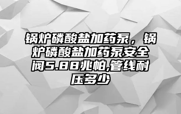 鍋爐磷酸鹽加藥泵，鍋爐磷酸鹽加藥泵安全閥5.88兆帕,管線耐壓多少