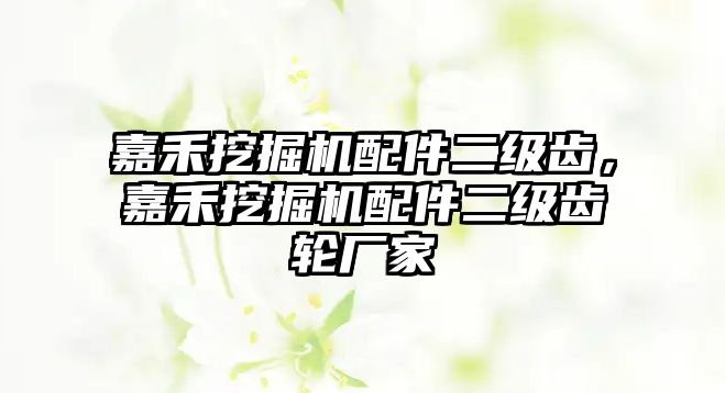 嘉禾挖掘機配件二級齒，嘉禾挖掘機配件二級齒輪廠家