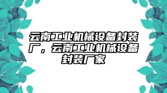 云南工業(yè)機(jī)械設(shè)備封裝廠，云南工業(yè)機(jī)械設(shè)備封裝廠家