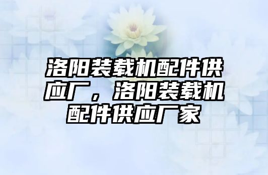 洛陽裝載機(jī)配件供應(yīng)廠，洛陽裝載機(jī)配件供應(yīng)廠家