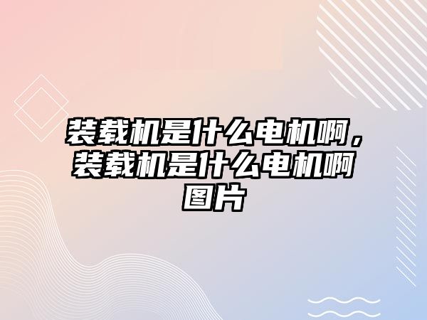 裝載機是什么電機啊，裝載機是什么電機啊圖片