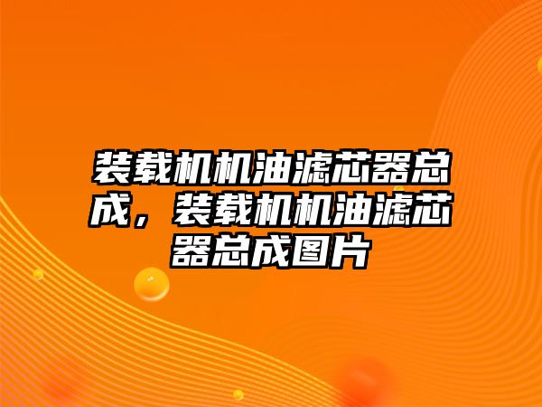 裝載機(jī)機(jī)油濾芯器總成，裝載機(jī)機(jī)油濾芯器總成圖片