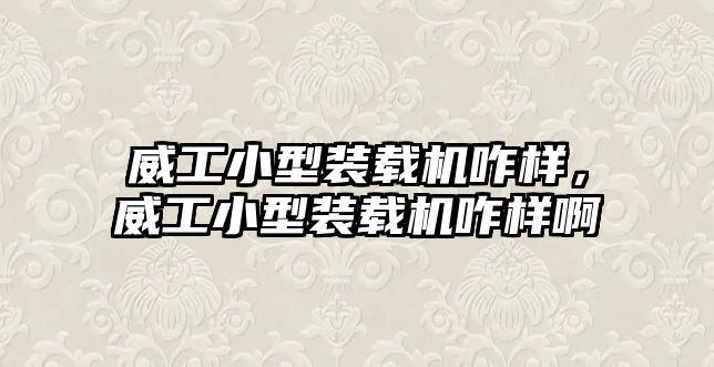 威工小型裝載機咋樣，威工小型裝載機咋樣啊