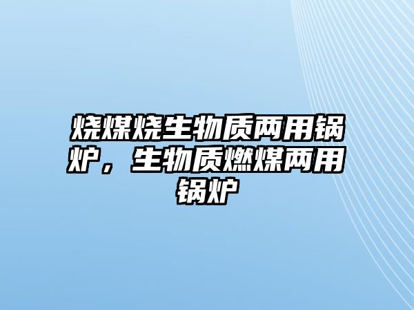 燒煤燒生物質兩用鍋爐，生物質燃煤兩用鍋爐