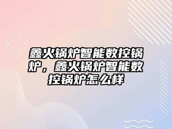 鑫火鍋爐智能數(shù)控鍋爐，鑫火鍋爐智能數(shù)控鍋爐怎么樣