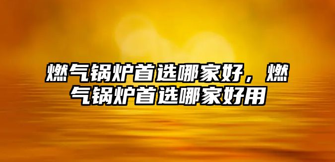 燃?xì)忮仩t首選哪家好，燃?xì)忮仩t首選哪家好用