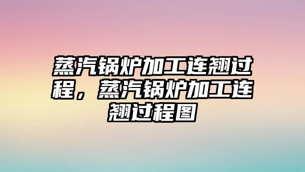 蒸汽鍋爐加工連翹過程，蒸汽鍋爐加工連翹過程圖