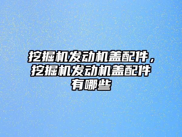 挖掘機(jī)發(fā)動機(jī)蓋配件，挖掘機(jī)發(fā)動機(jī)蓋配件有哪些