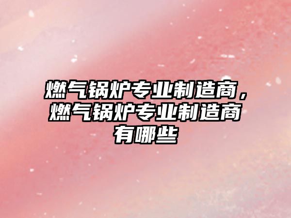 燃氣鍋爐專業(yè)制造商，燃氣鍋爐專業(yè)制造商有哪些