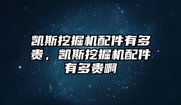 凱斯挖掘機配件有多貴，凱斯挖掘機配件有多貴啊