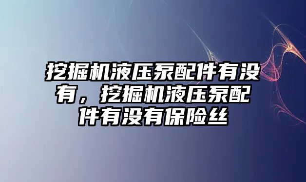 挖掘機(jī)液壓泵配件有沒有，挖掘機(jī)液壓泵配件有沒有保險絲