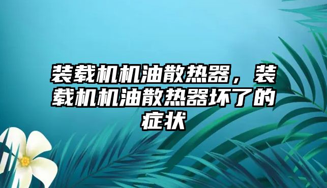 裝載機(jī)機(jī)油散熱器，裝載機(jī)機(jī)油散熱器壞了的癥狀