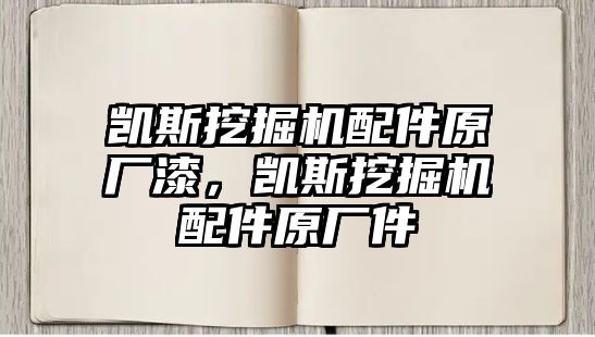 凱斯挖掘機配件原廠漆，凱斯挖掘機配件原廠件