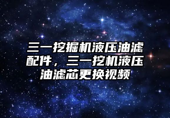 三一挖掘機液壓油濾配件，三一挖機液壓油濾芯更換視頻