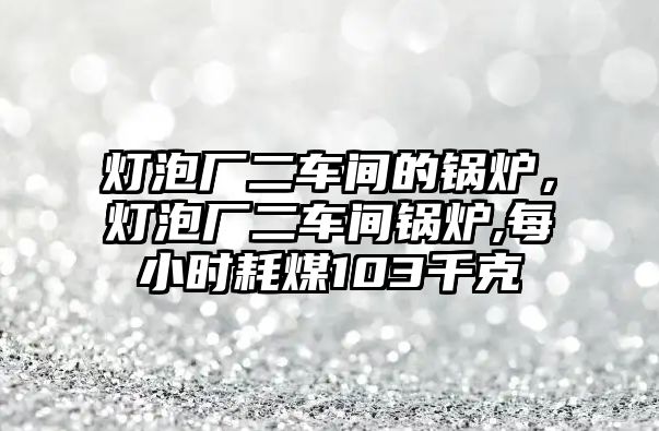 燈泡廠二車間的鍋爐，燈泡廠二車間鍋爐,每小時耗煤103千克