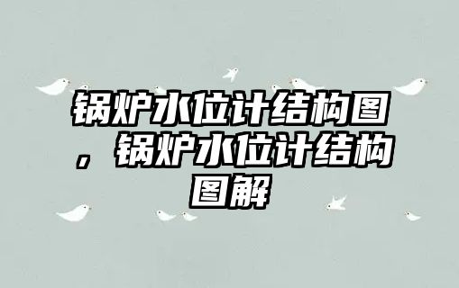 鍋爐水位計(jì)結(jié)構(gòu)圖，鍋爐水位計(jì)結(jié)構(gòu)圖解