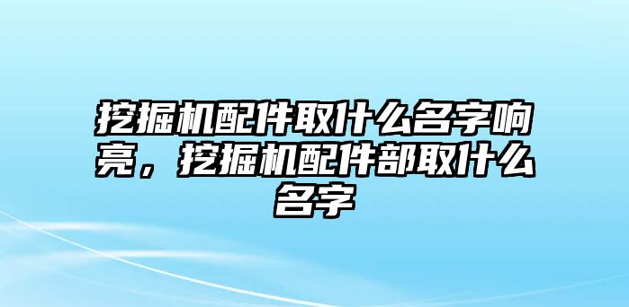 挖掘機(jī)配件取什么名字響亮，挖掘機(jī)配件部取什么名字