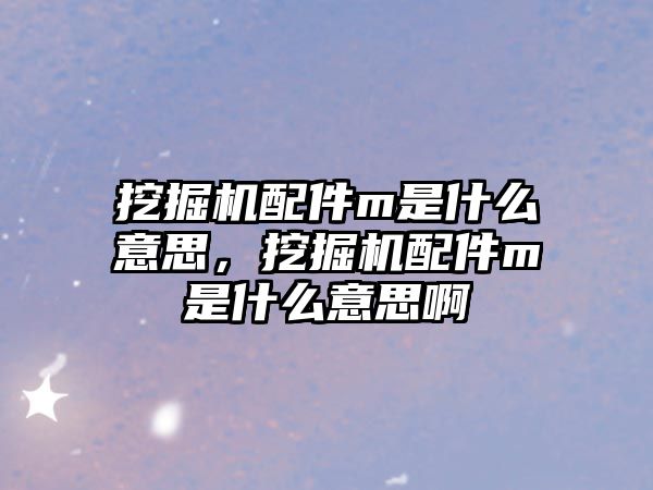 挖掘機配件m是什么意思，挖掘機配件m是什么意思啊